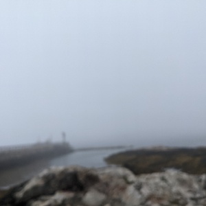 PXL_20210823_200714683.jpg